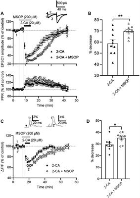 Interplay between metabotropic glutamate type 4 and adenosine type 1 receptors modulate synaptic transmission in the cerebellar cortex